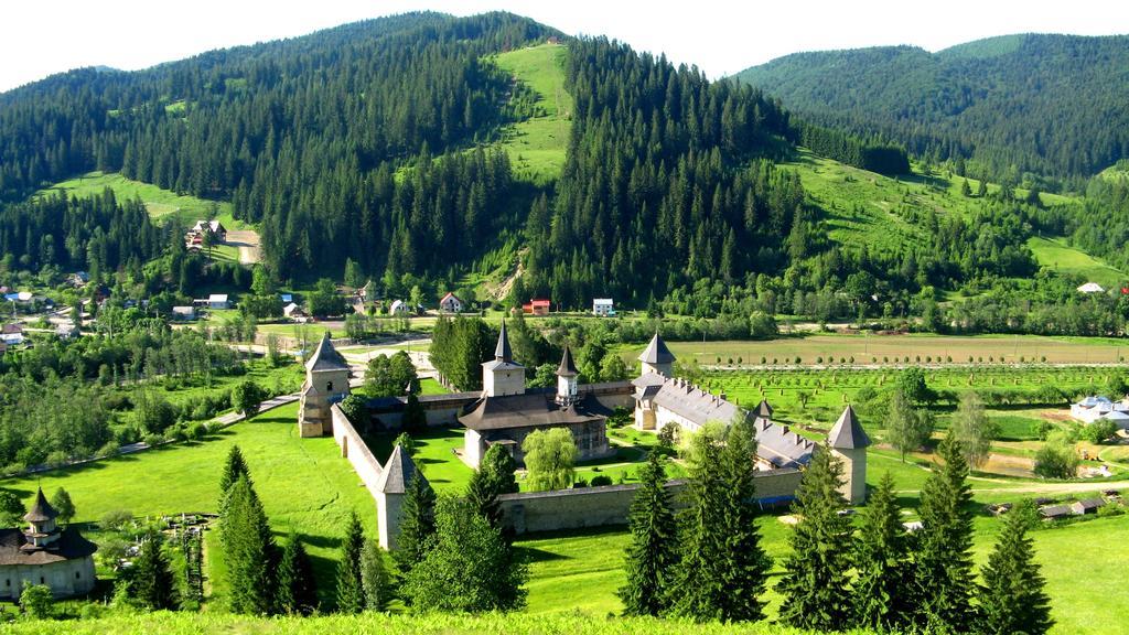 Pensiunea Poiana De Vis Sucevita Exterior foto