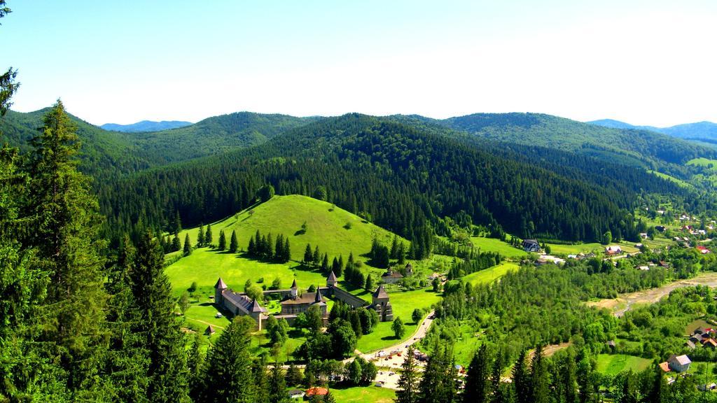 Pensiunea Poiana De Vis Sucevita Exterior foto