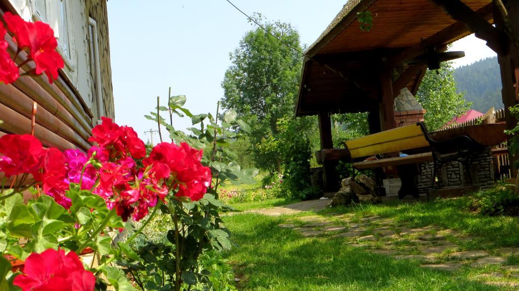 Pensiunea Poiana De Vis Sucevita Exterior foto