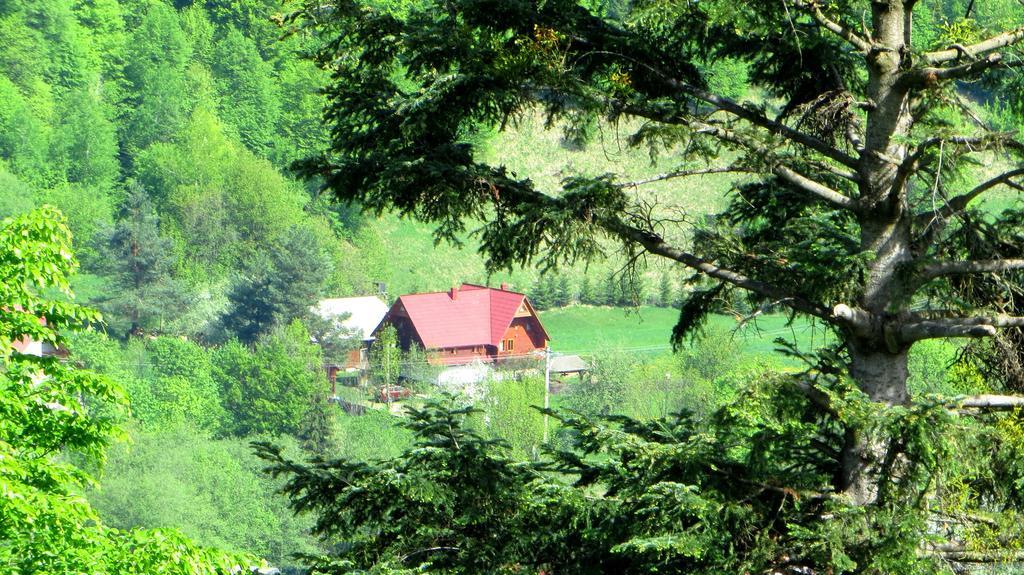 Pensiunea Poiana De Vis Sucevita Exterior foto
