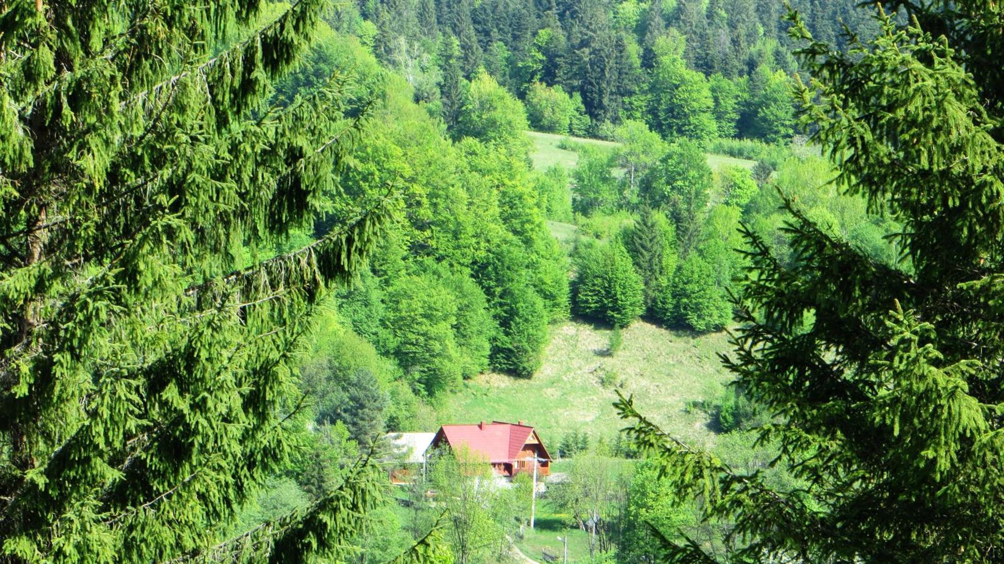 Pensiunea Poiana De Vis Sucevita Exterior foto