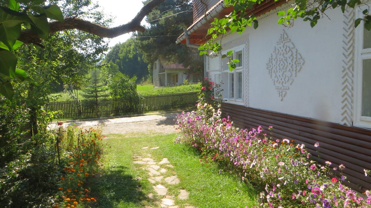 Pensiunea Poiana De Vis Sucevita Exterior foto
